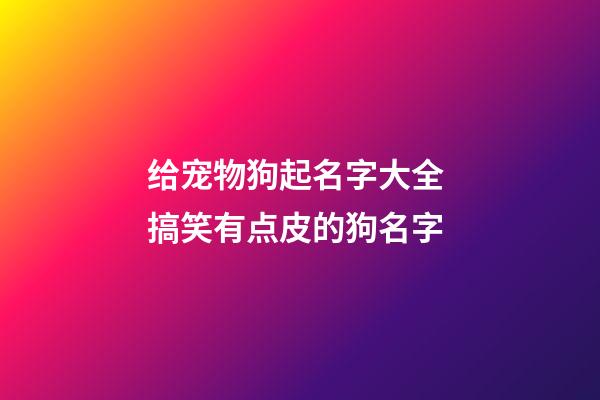 给宠物狗起名字大全 搞笑有点皮的狗名字